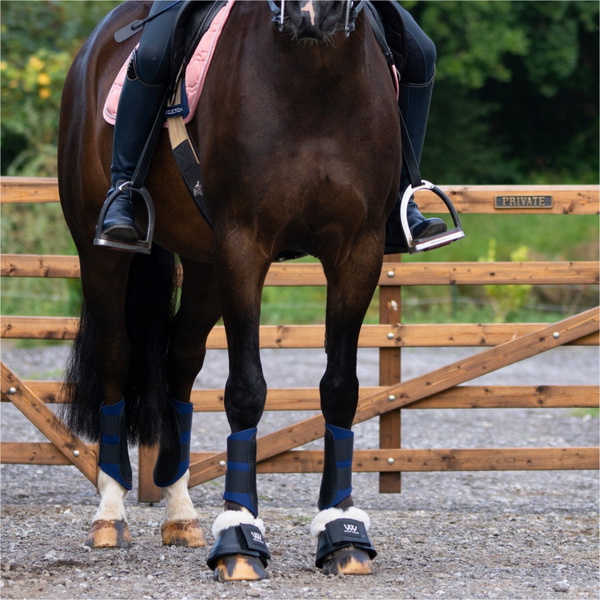 2026 Woof Wear Club Bürsten-Stiefel WB0093 - Navy